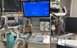 Zoom image: anesthesia machine with top mounted screen.