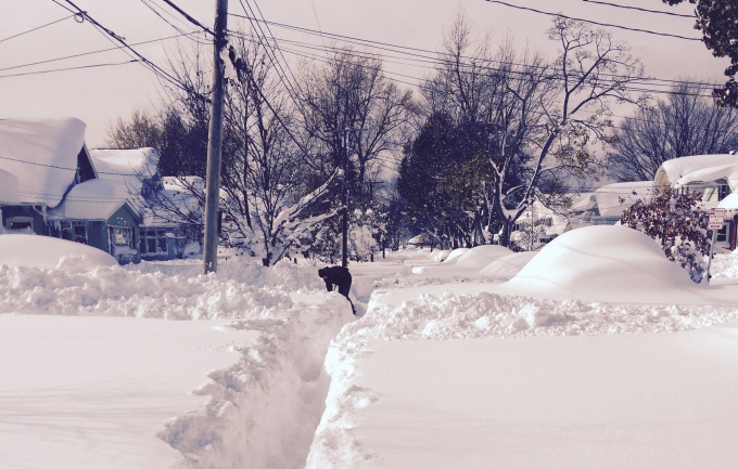 path shoveled through deep snow. 